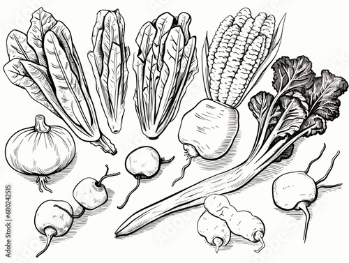 A Group Of Vegetables Drawn In Black And White - A selection of fresh vegetables ready to prepare a meal