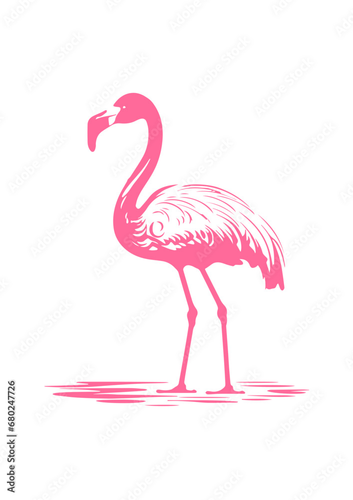Tropical Flamingo Vector Illustration Tropical Flamingo Vector Illustration