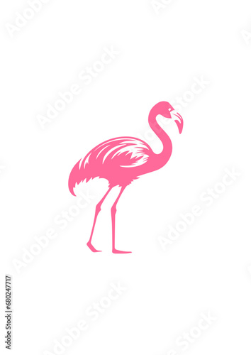 Tropical Flamingo Vector Illustration