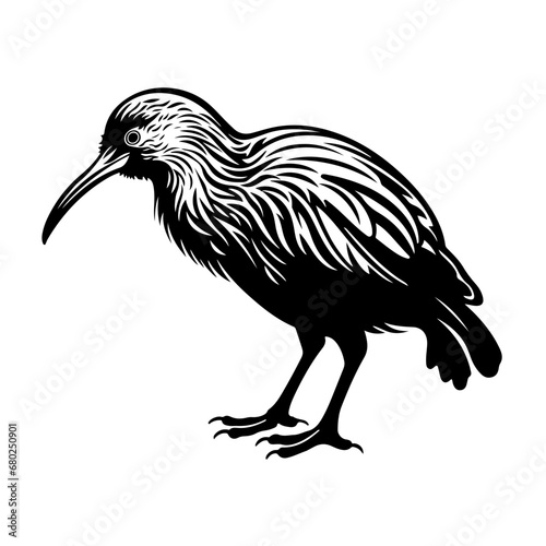 Playful Kiwi Bird Vector Illustration