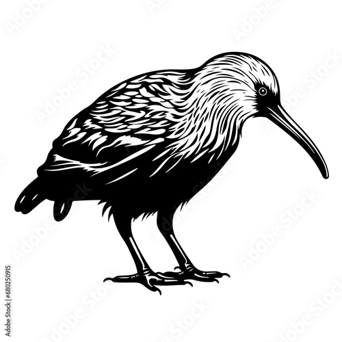 Playful Kiwi Bird Vector Illustration