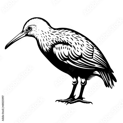 Playful Kiwi Bird Vector Illustration