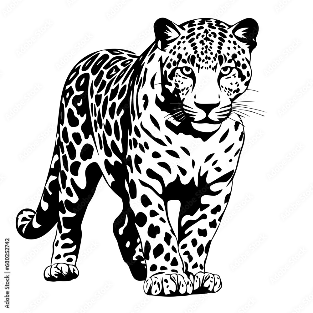 Sleek Leopard Vector Illustration Sleek Leopard Vector Illustration