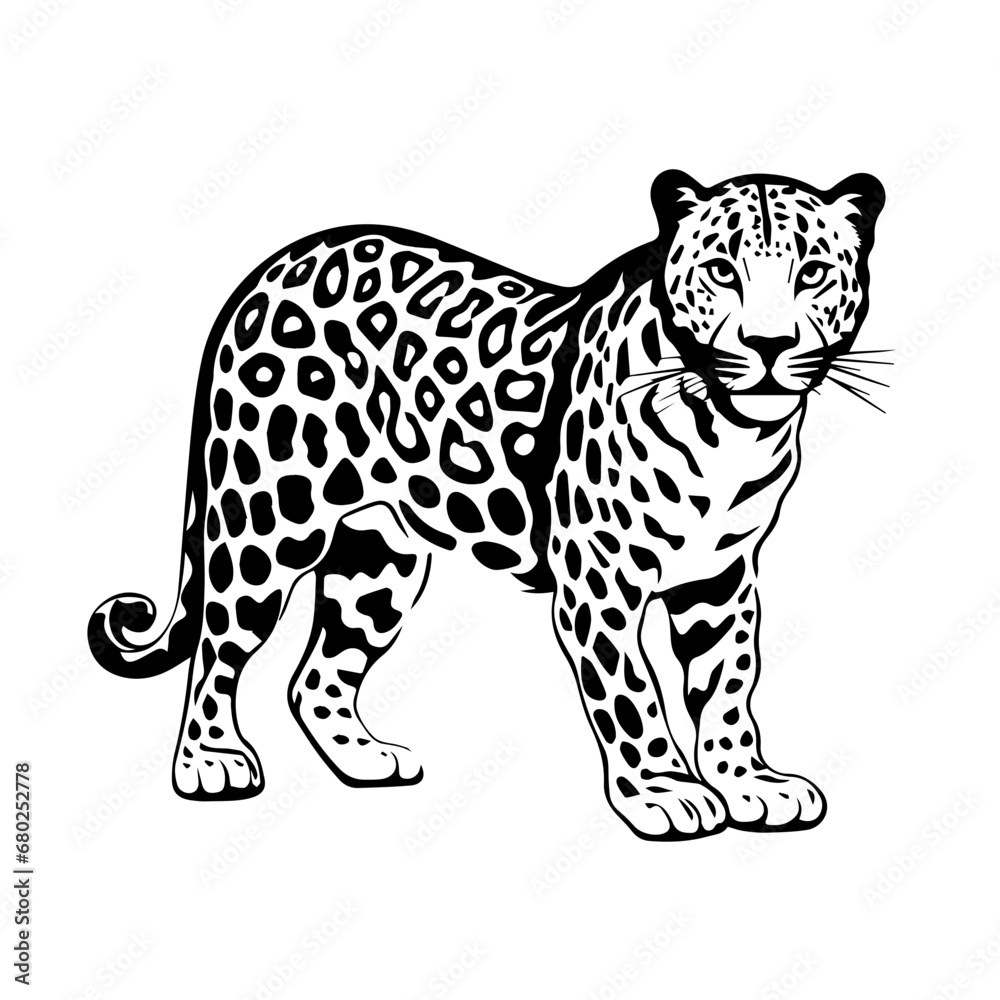 Sleek Leopard Vector Illustration Sleek Leopard Vector Illustration