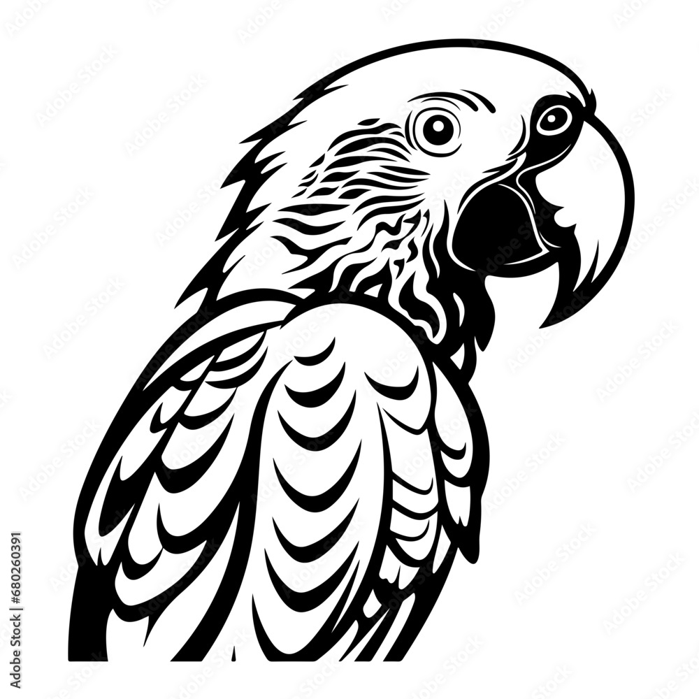 Parrot Vector Illustration