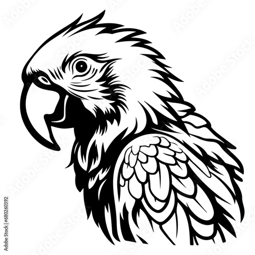 Parrot Vector Illustration
