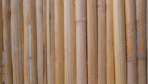 wood texture bamboo