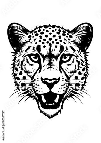 Alert Cheetah Head Vector Illustration