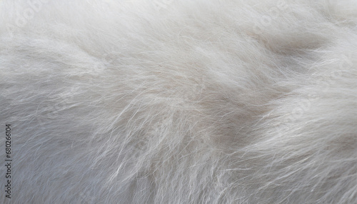 white gray background of dog fur with soft texture