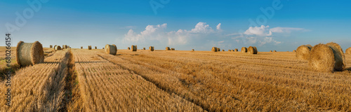 Cylindrical straw bales lie on a sloping field under a beautiful sky