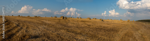 panorama of a field after harvest, stubble and straw bales in the distance photo