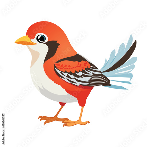 Bird Vector. Cute Bird Vector Illustration. Beautiful and cute multi-colored birds for any design
