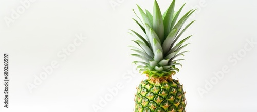 In the isolated tropical background of a summer getaway, a vibrant green pineapple stands tall, its leafy crown signaling a healthy and refreshing treat, enticing food lovers to embrace a nature