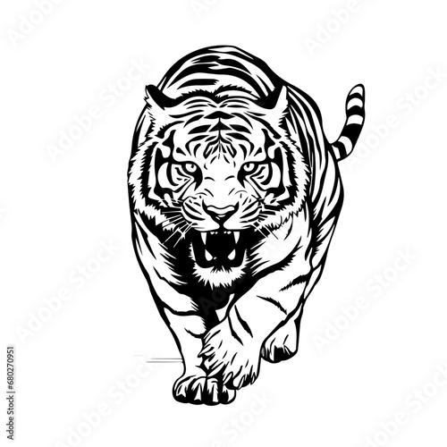 Majestic Tiger Vector Illustration