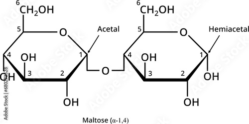 Reducing sugar maltose, a disaccharide in biochemistry