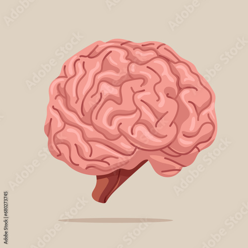 Human cerebrum in flat vector illustration. Internal organ, anatomy. 