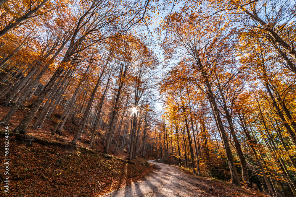 Fototapeta premium Fall foliage in Emilia-Romagna in Italian Appenines, trip at Acquapartita.