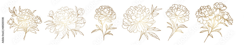 Peony flowers sketch minimalist golden elegant line. Wildflowers for background. Abstract botanical art. Simple minimalistic art set. Continuous drawing of lines.