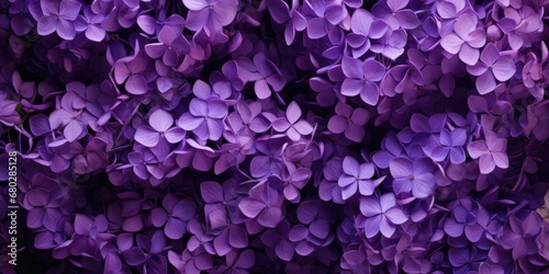Beautiful spring floral background of purple lilac