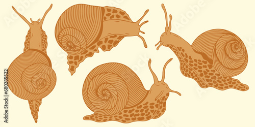 Set of snail silhouettes. Vector graphics.