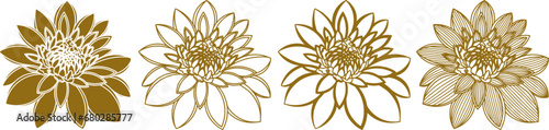 incredible magnolias in golden color, set, vector illustration, flower	