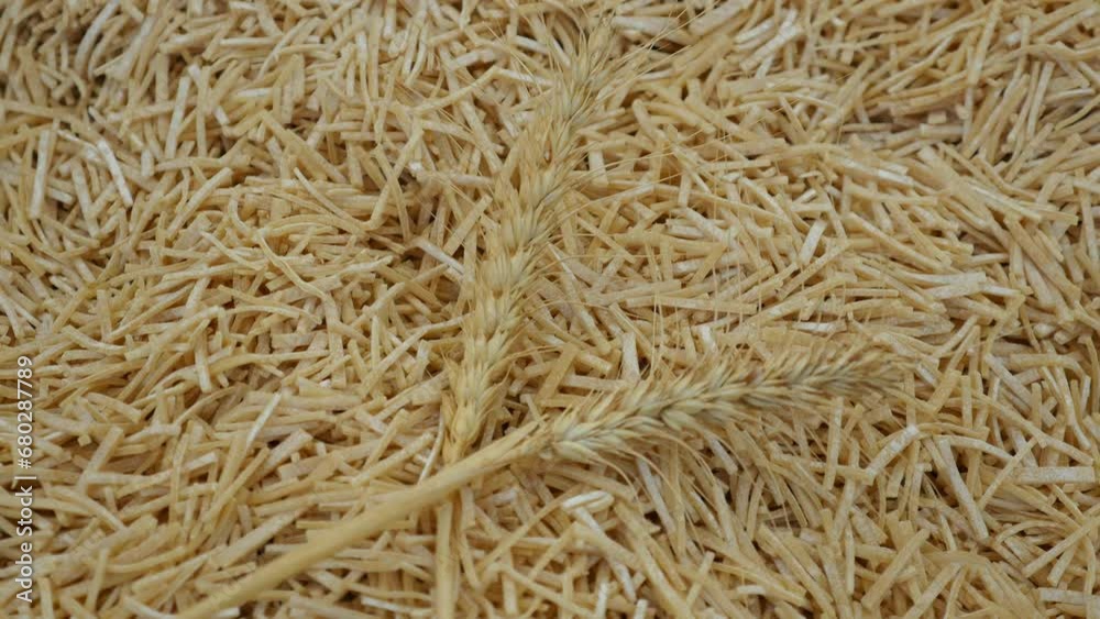 Close-up of homemade raw noodles, two ears of wheat stand next to it Close-up of homemade raw noodles, two ears of wheat stand next to it