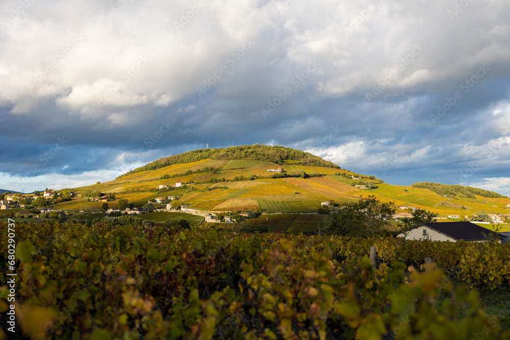 Obraz premium Mont Brouilly, couvert de vignes du Beaujolais colorées par l’automne, sous les nuages mais éclairé par un soleil rasant
