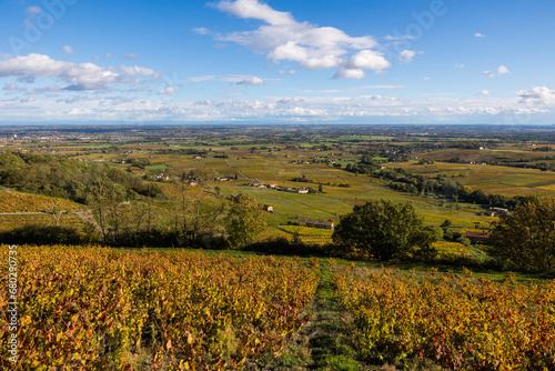 Paysage de la plaine de Villefranche-sur-Saône depuis le sommet du Mont Brouilly