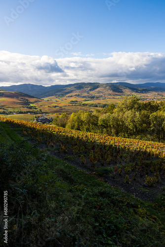 Panorama sur les monts et les vignes du Beaujolais depuis les flancs du Mont Brouilly © Ldgfr Photos