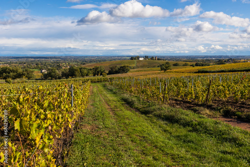 Hameau de Monternot  dans la commune de Charentay  au c  ur des vignes du Beaujolais  pr  s du Mont Brouilly
