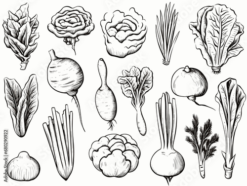 A Group Of Vegetables Drawn In Black And White - Fresh vegetables.