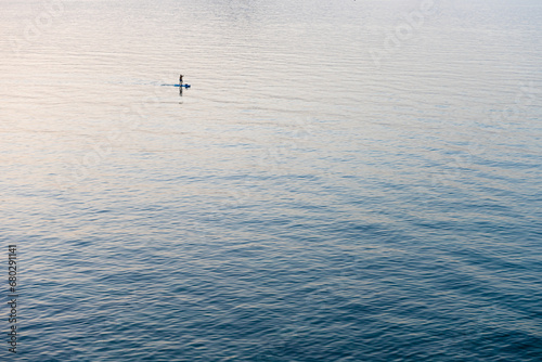 The man paddleboarding on sea early sunset © Ordasi  Tatyjana