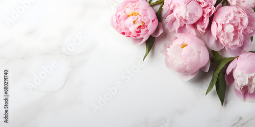 Pink peonies on white background with copy space for text