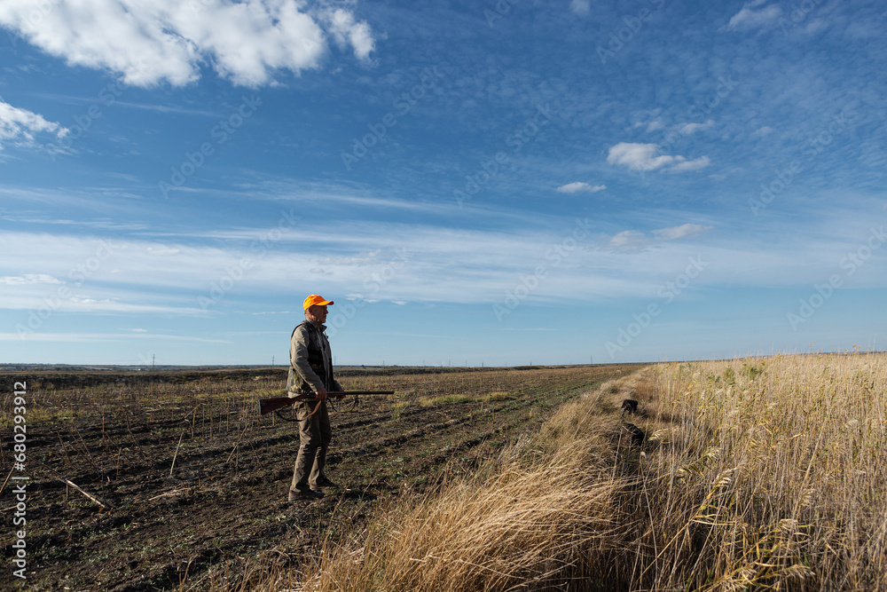 Mature man hunter with gun while walking on field.