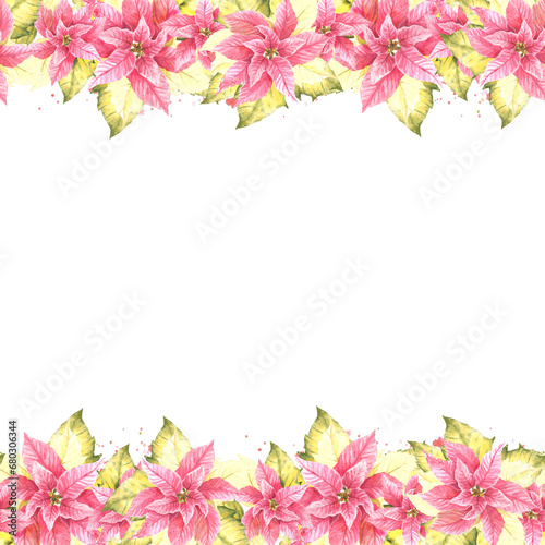Watercolor painted seamless border, frame of pink yellow Poinsettia, Pulcherrima flowers, leaves, splashes. Plant illustration for Christmas, New Year card invitation package Isolated white background