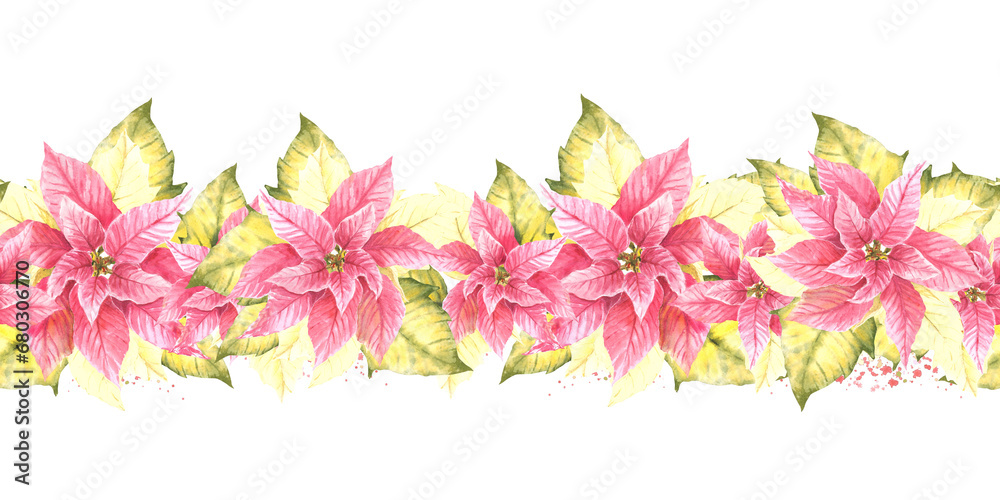 Naklejka premium Watercolor painted seamless border, pattern of pink yellow Poinsettia Pulcherrima flowers and leaves, splashes Plant illustration for Christmas, New Year card, wrapping paper Isolated white background