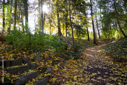 Fototapeta Naklejka Na Ścianę i Meble -  A footpath trail in the public park in autumn
