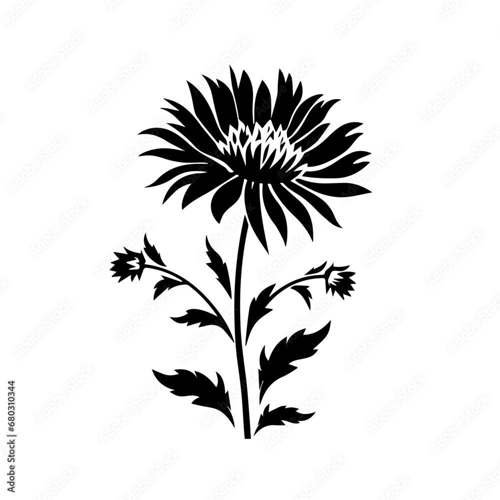 Elegant Aster Flower Vector Illustration Elegant Aster Flower Vector Illustration