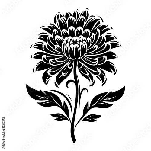 Elegant Aster Flower Vector Illustration