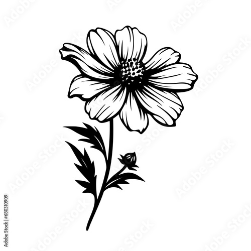 Ethereal Cosmos Flower Vector Illustration