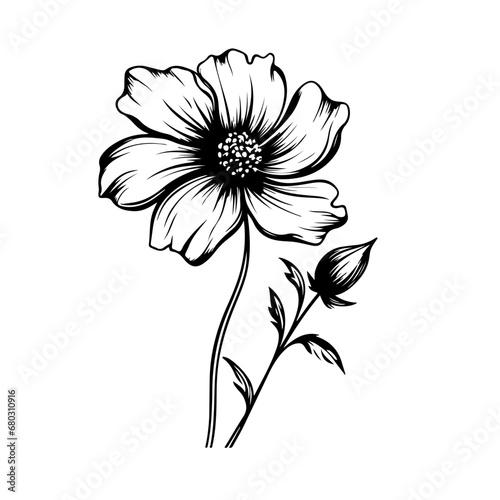 Ethereal Cosmos Flower Vector Illustration