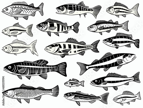 A Collection Of Fish With Different Stripes - Types freshwater fish Silhouettes.