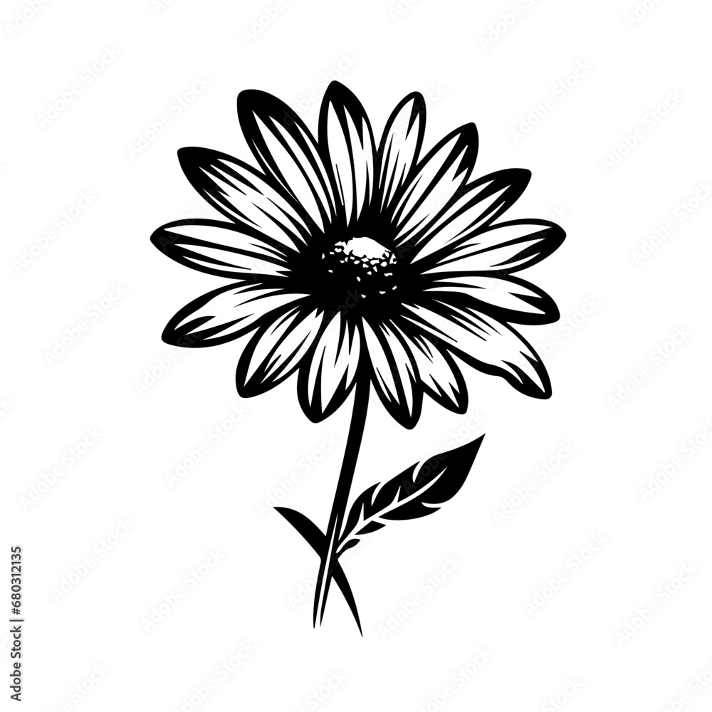 Delicate Daisy Flower Vector Illustration