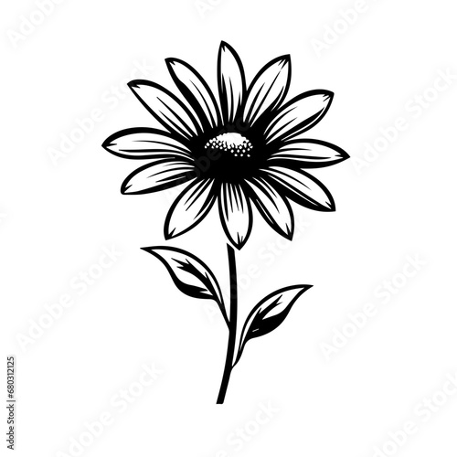 Delicate Daisy Flower Vector Illustration