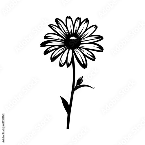 Delicate Daisy Flower Vector Illustration