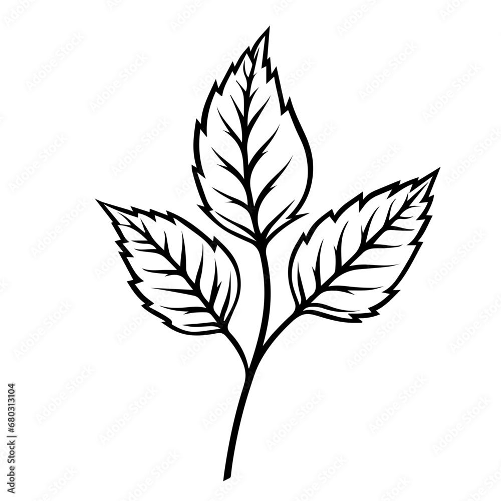 Autumnal Fall Leaf Vector Illustration Autumnal Fall Leaf Vector Illustration