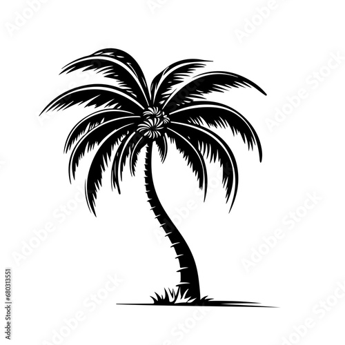 Tropical Palm Tree Vector Illustration