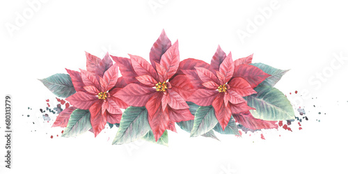 Watercolor painted compositions from red Poinsettia, Pulcherrima flowers, leaves with aquarelle splashes. Plant for Christmas or New Year card, winter holiday celebrate print Isolated white background photo