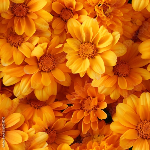 Top view seamless pattern of marigold flower blooms in a beautiful floral arrangement