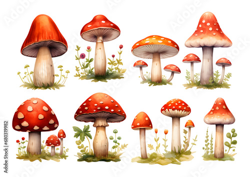mushrooms isolated on transparent background